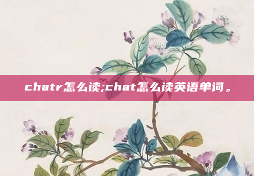 chatr怎么读;chat怎么读英语单词。