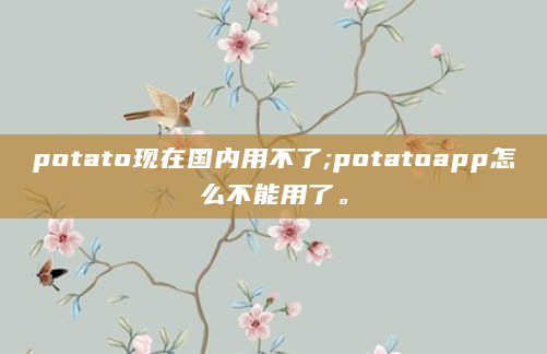 potato现在国内用不了;potatoapp怎么不能用了。