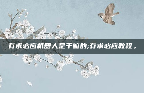 有求必应机器人是干嘛的;有求必应教程。