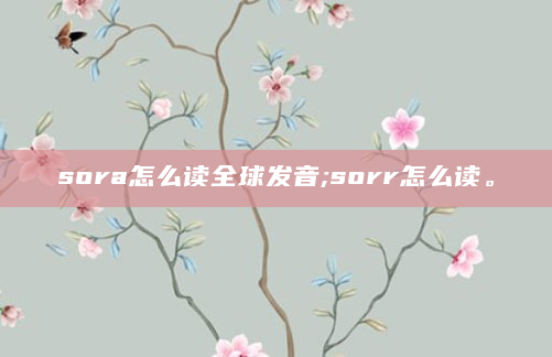sora怎么读全球发音;sorr怎么读。