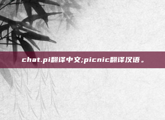 chat.pi翻译中文;picnic翻译汉语。
