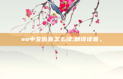 so中文谐音怎么读;翻译读音。