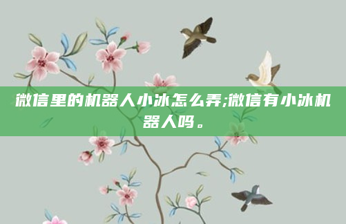 微信里的机器人小冰怎么弄;微信有小冰机器人吗。