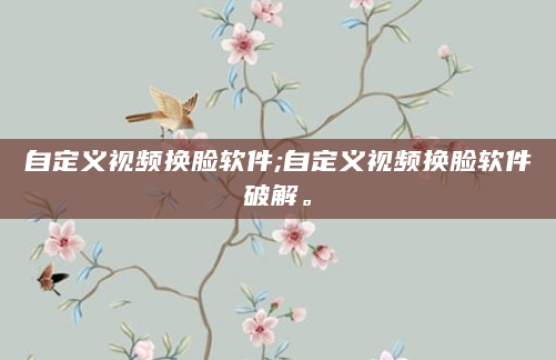 自定义视频换脸软件;自定义视频换脸软件破解。