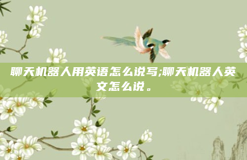 聊天机器人用英语怎么说写;聊天机器人英文怎么说。