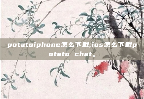 potatoiphone怎么下载;ios怎么下载potato chat。