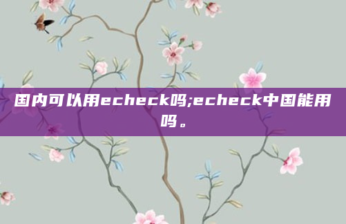 国内可以用echeck吗;echeck中国能用吗。