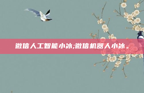 微信人工智能小冰;微信机器人小冰。