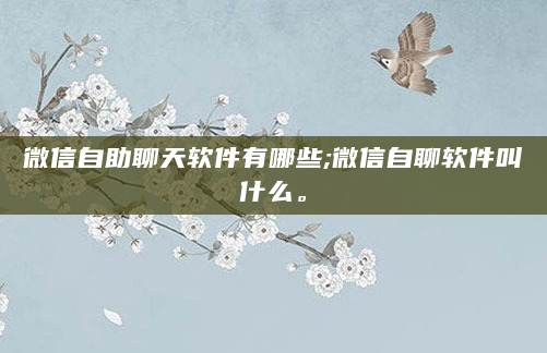 微信自助聊天软件有哪些;微信自聊软件叫什么。