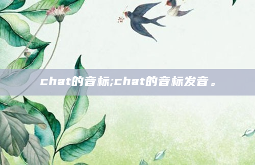 chat的音标;chat的音标发音。