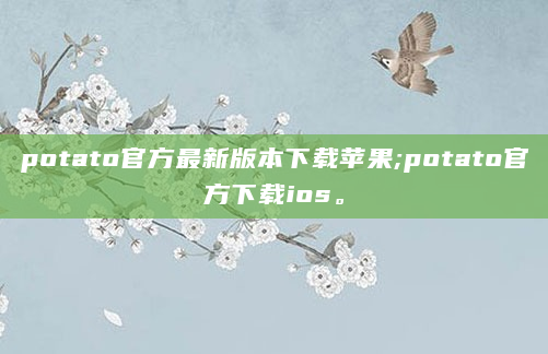 potato官方最新版本下载苹果;potato官方下载ios。