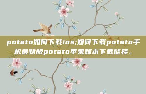 potato如何下载ios;如何下载potato手机最新版potato苹果版本下载链接。