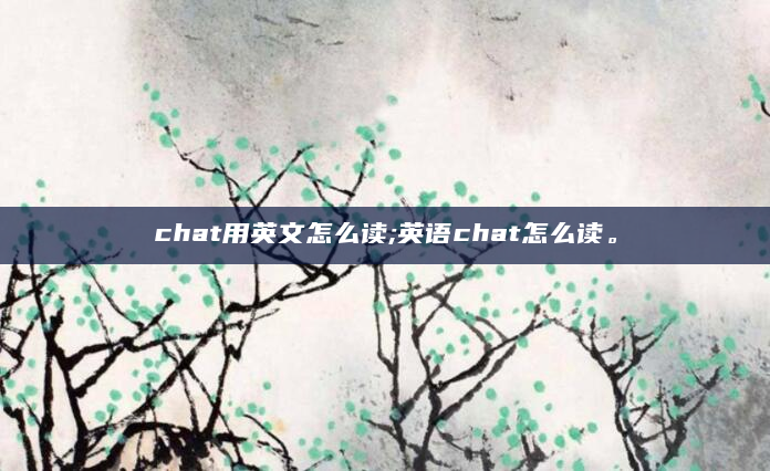 chat用英文怎么读;英语chat怎么读。