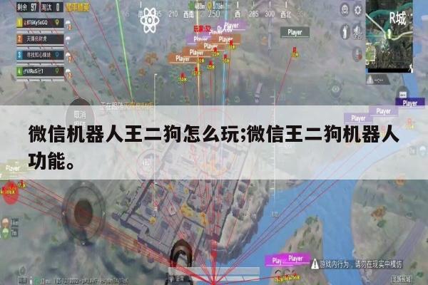 微信机器人王二狗怎么玩;微信王二狗机器人功能。