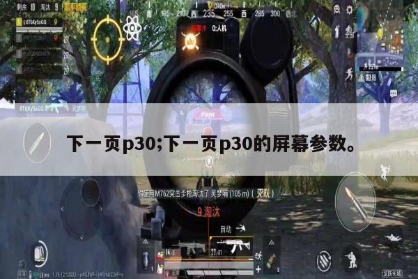 下一页p30;下一页p30的屏幕参数。