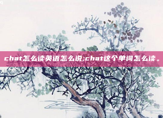 chat怎么读英语怎么说;chat这个单词怎么读。