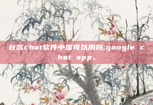 谷歌chat软件中国可以用吗;google chat app。