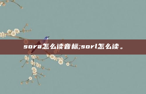sora怎么读音标;sorl怎么读。