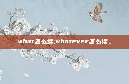 what怎么读;whatever怎么读。