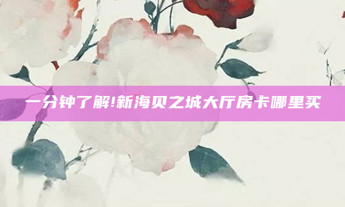 一分钟了解!新海贝之城大厅房卡哪里买
