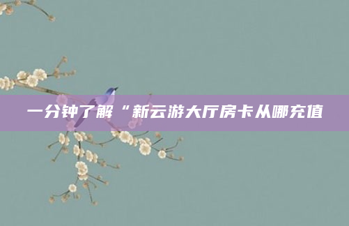 一分钟了解“新云游大厅房卡从哪充值