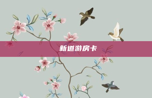 新道游房卡