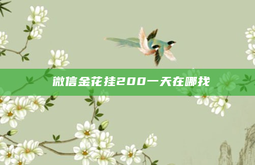 微信金花挂200一天在哪找