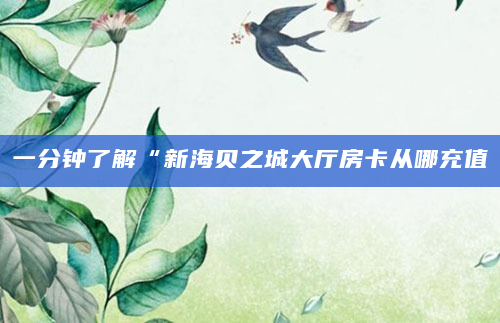 一分钟了解“新海贝之城大厅房卡从哪充值