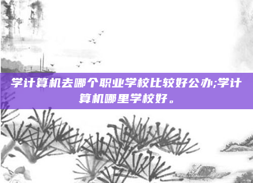 学计算机去哪个职业学校比较好公办;学计算机哪里学校好。
