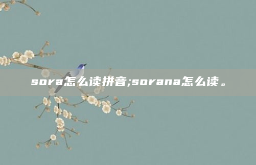 sora怎么读拼音;sorana怎么读。