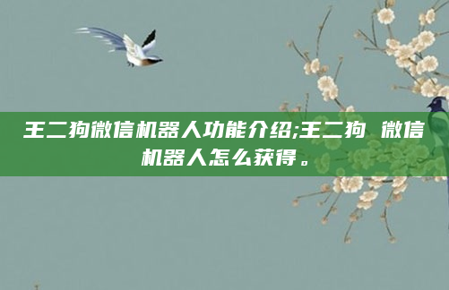 王二狗微信机器人功能介绍;王二狗 微信机器人怎么获得。