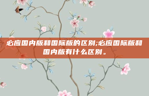 必应国内版和国际版的区别;必应国际版和国内版有什么区别。