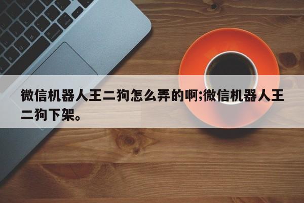 微信机器人王二狗怎么弄的啊;微信机器人王二狗下架。