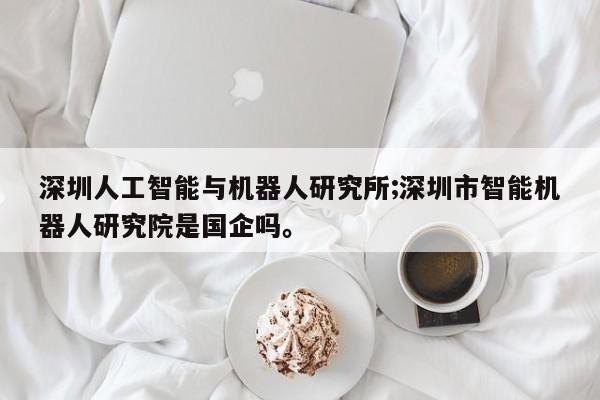 深圳人工智能与机器人研究所;深圳市智能机器人研究院是国企吗。