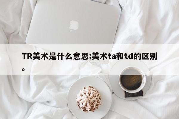 TR美术是什么意思;美术ta和td的区别。